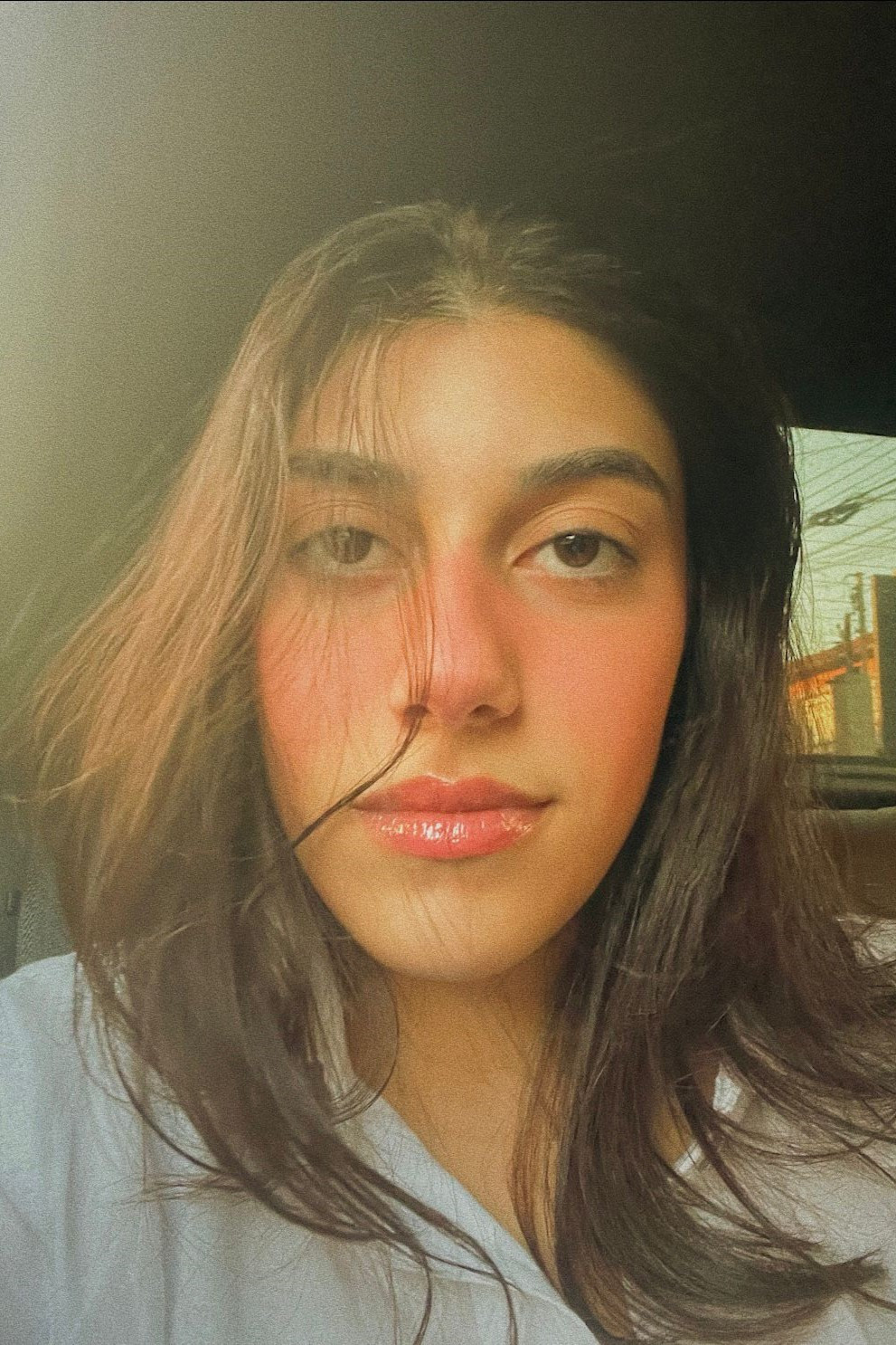 Ana Zampieri D’Andrea backdrop