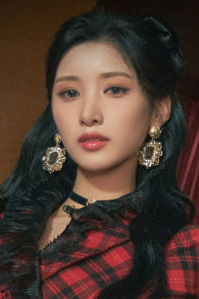 Koyuki Mori backdrop