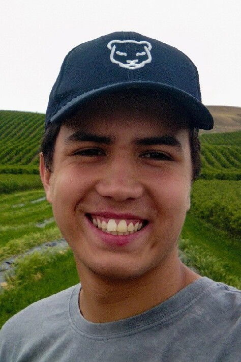 Cristobal Nuñez del Arco backdrop