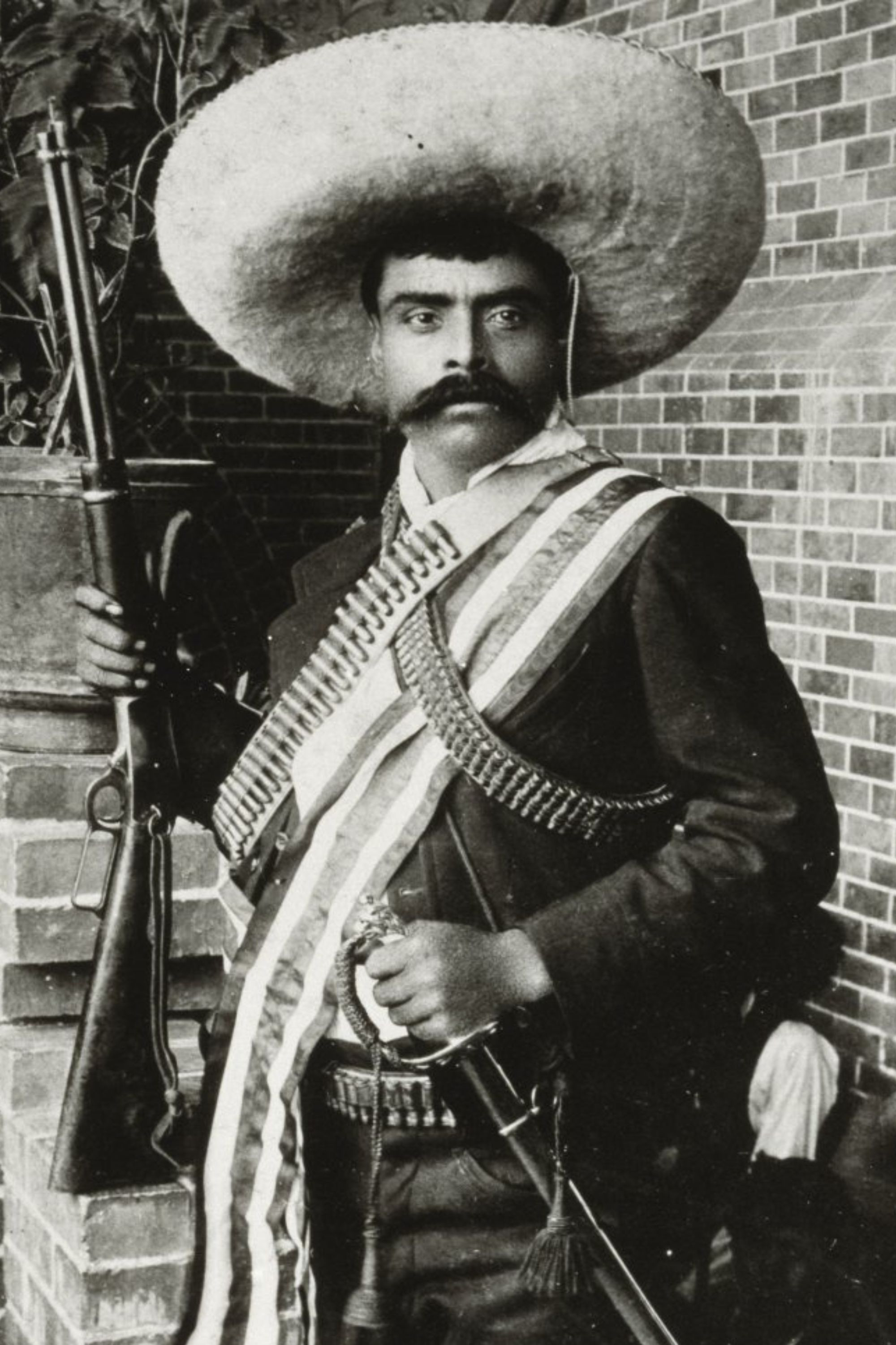 Emiliano Zapata backdrop