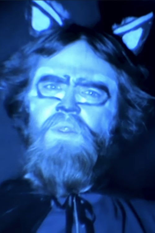 Curran Foster backdrop