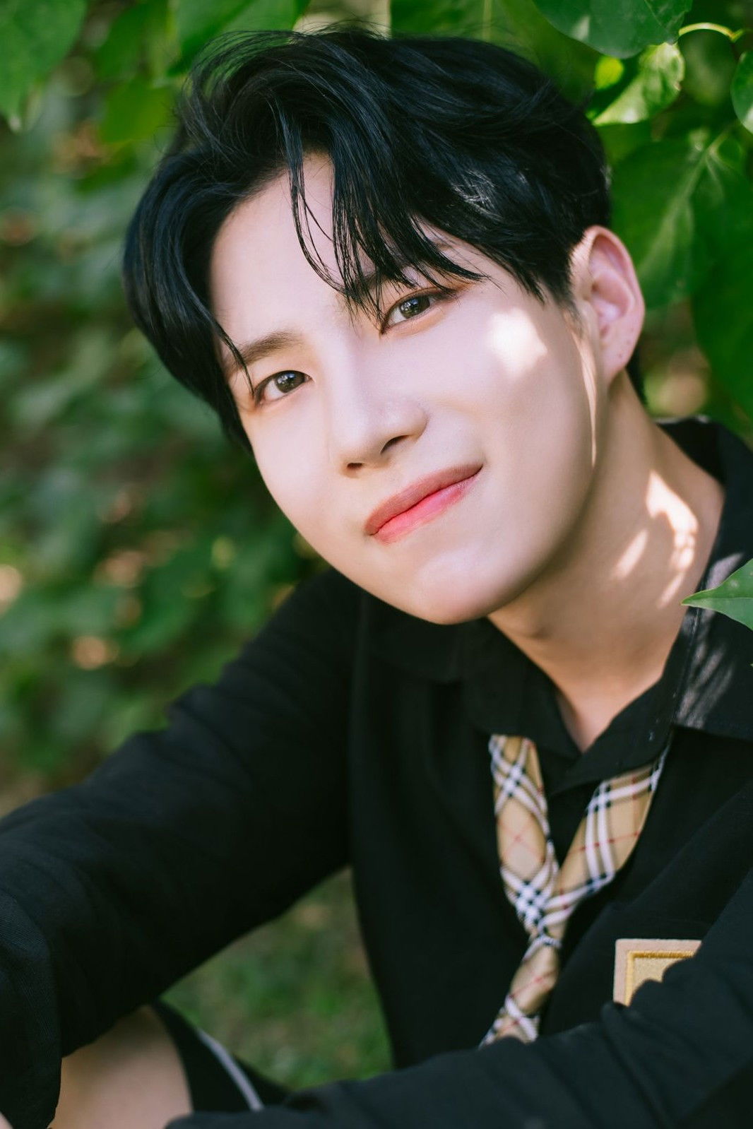 Kim Seh-yoon backdrop