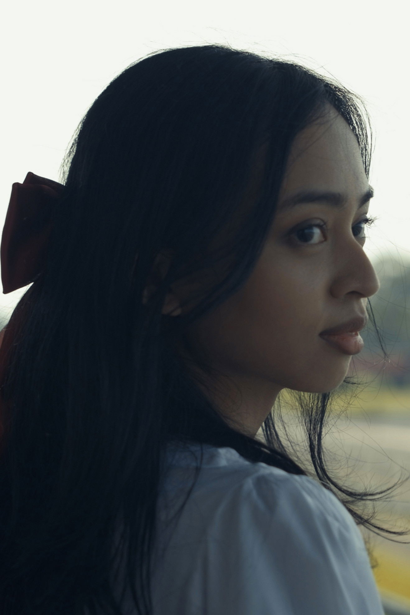 Tarani Dinanty backdrop