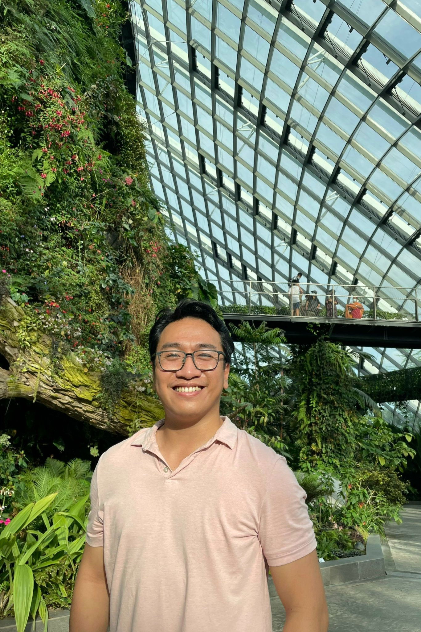 Vo Nguyen Dan backdrop