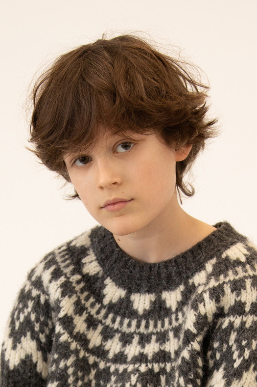 Léopold Lafontaine backdrop