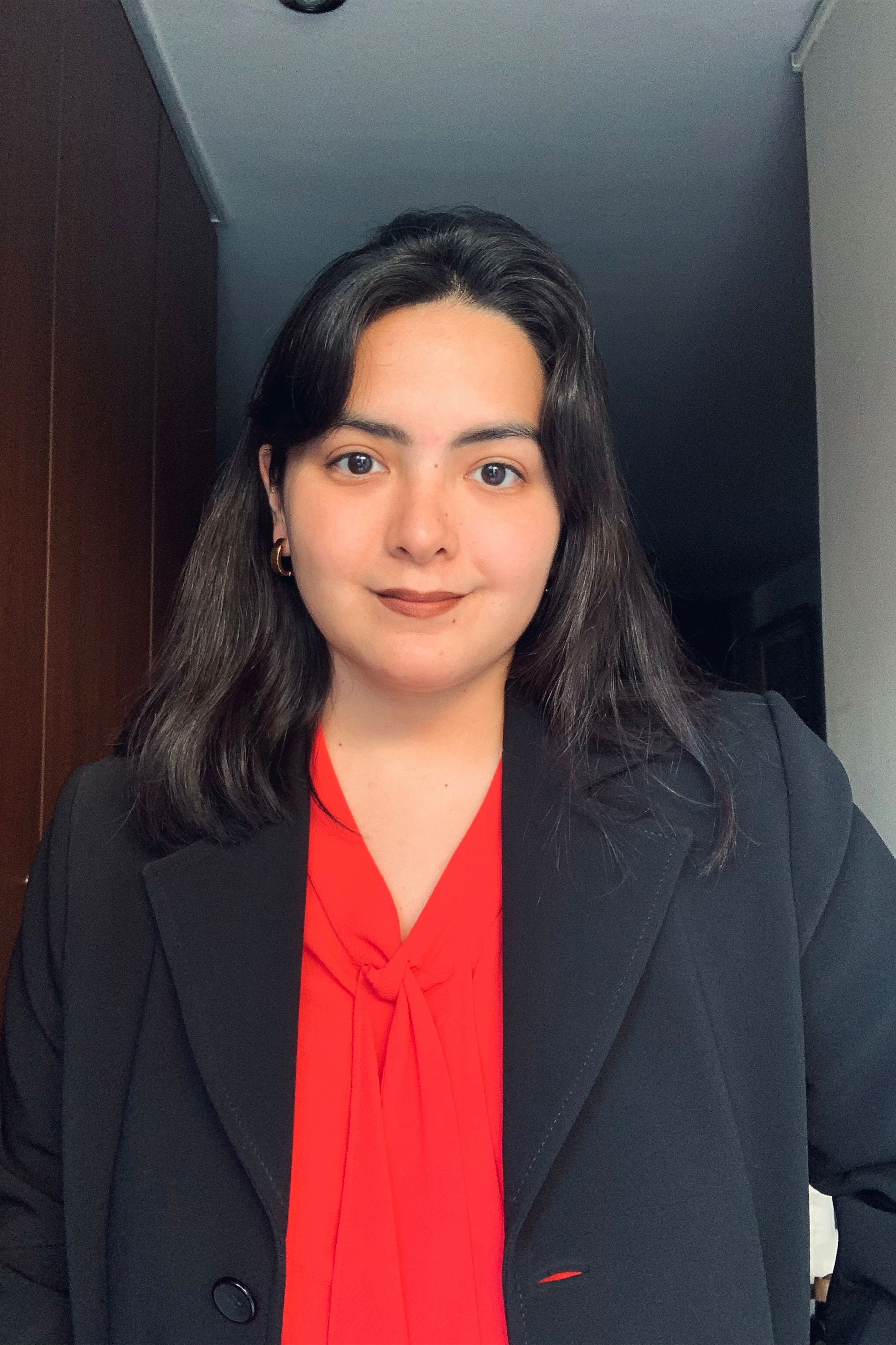 Ariana Andrade Castro backdrop