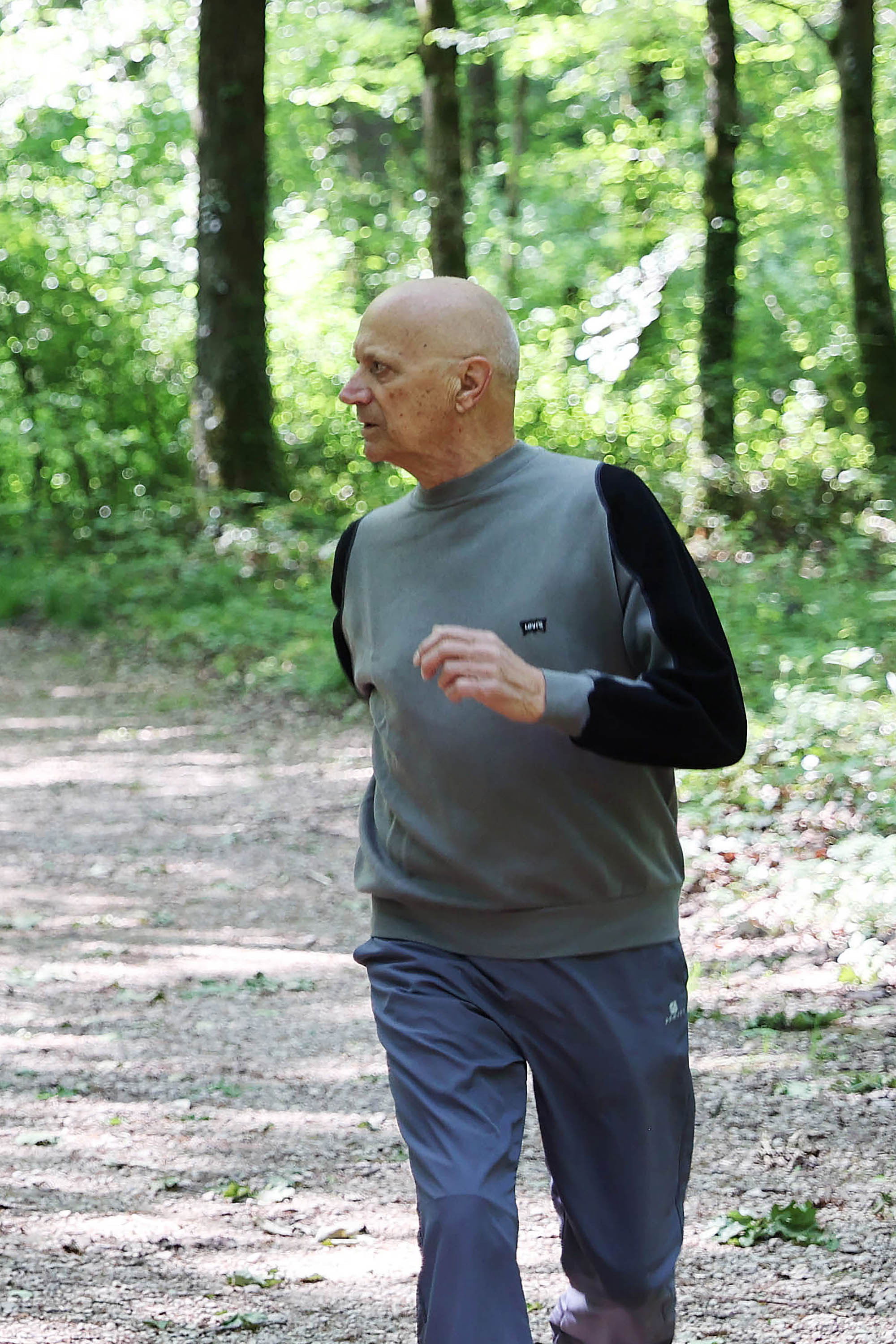 Gaston Gaillard backdrop