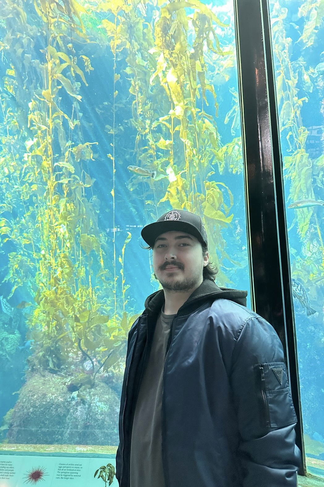 Maxwell Nagy backdrop