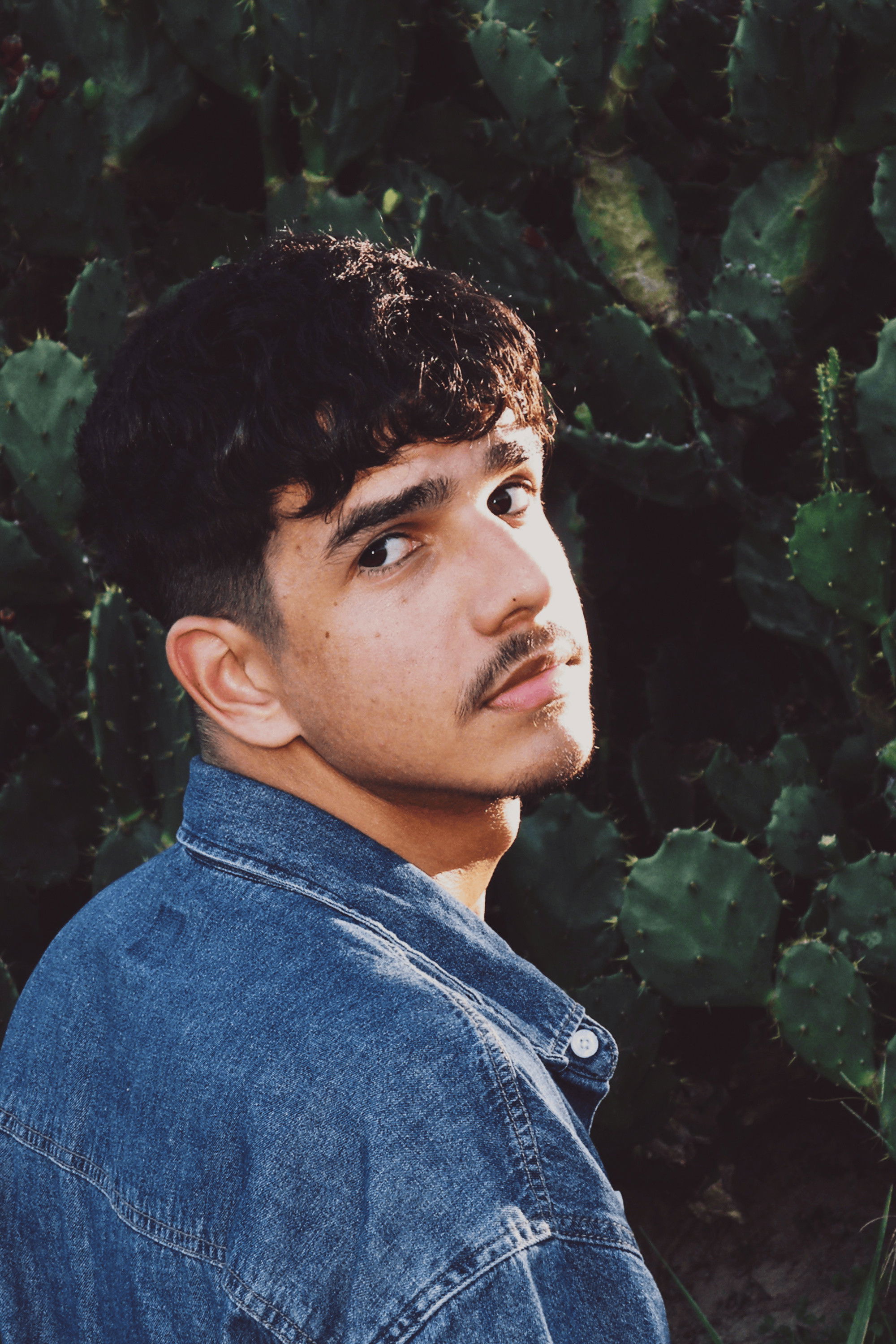 Heron Condor backdrop