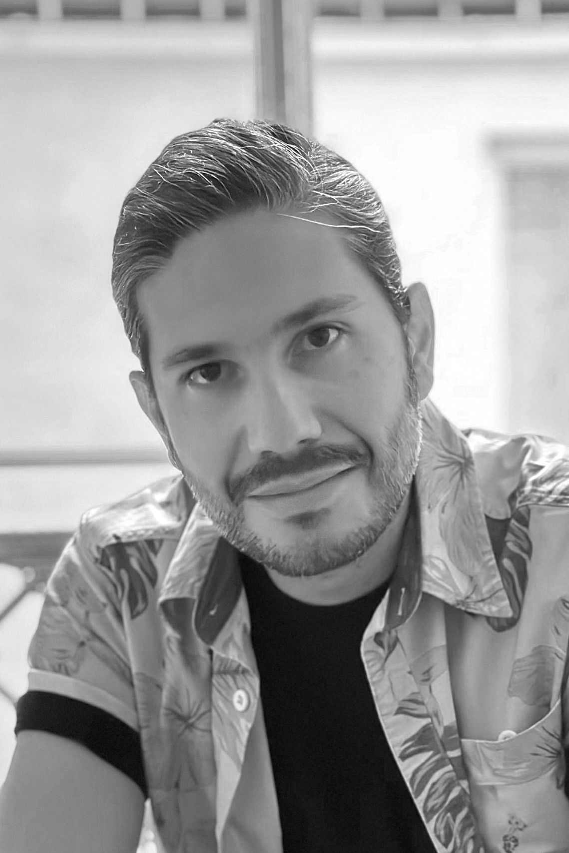 Diego Alonso Sánchez de la Barquera Estrada backdrop