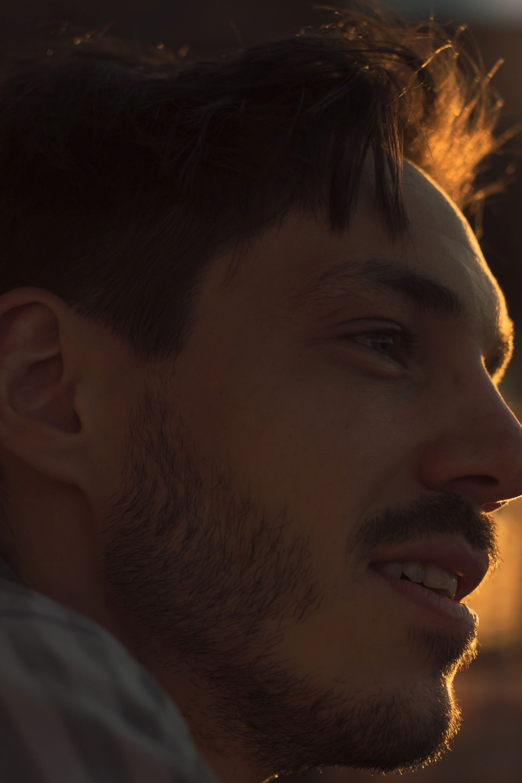 Dominique Caron backdrop