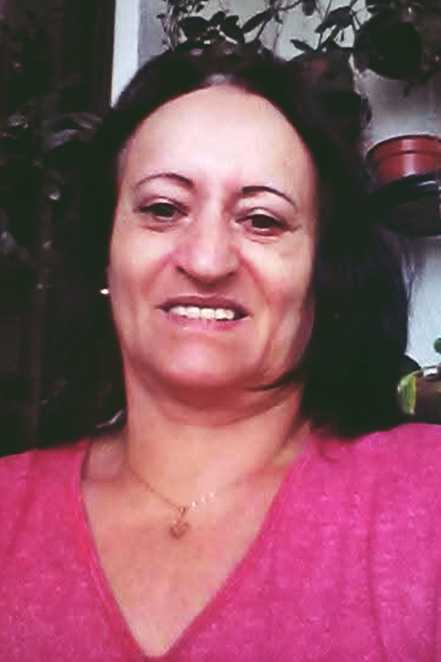 Iara Dreher backdrop