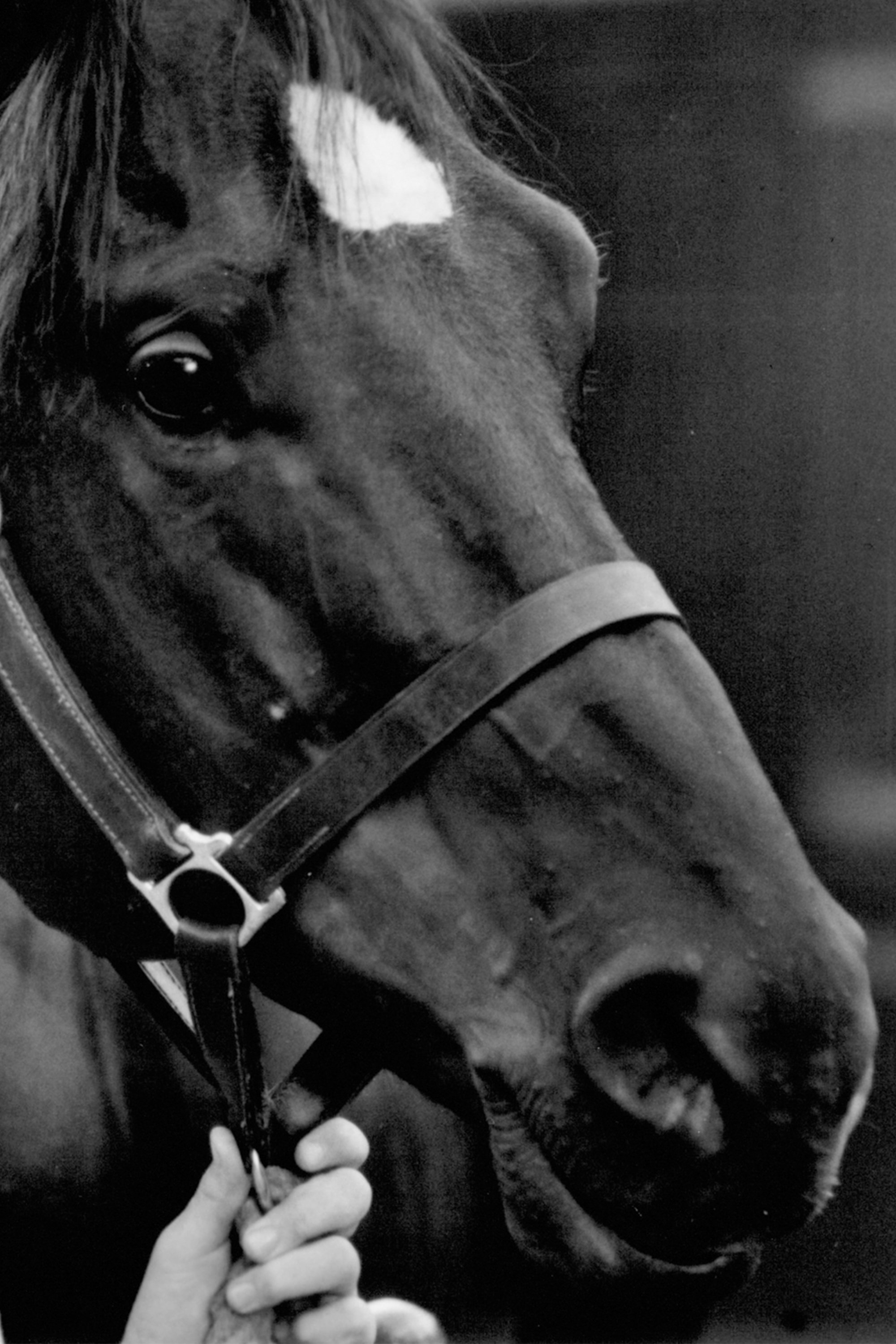 Docs Keepin Time backdrop