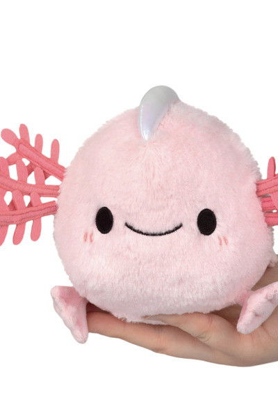 Callie Zwicker backdrop