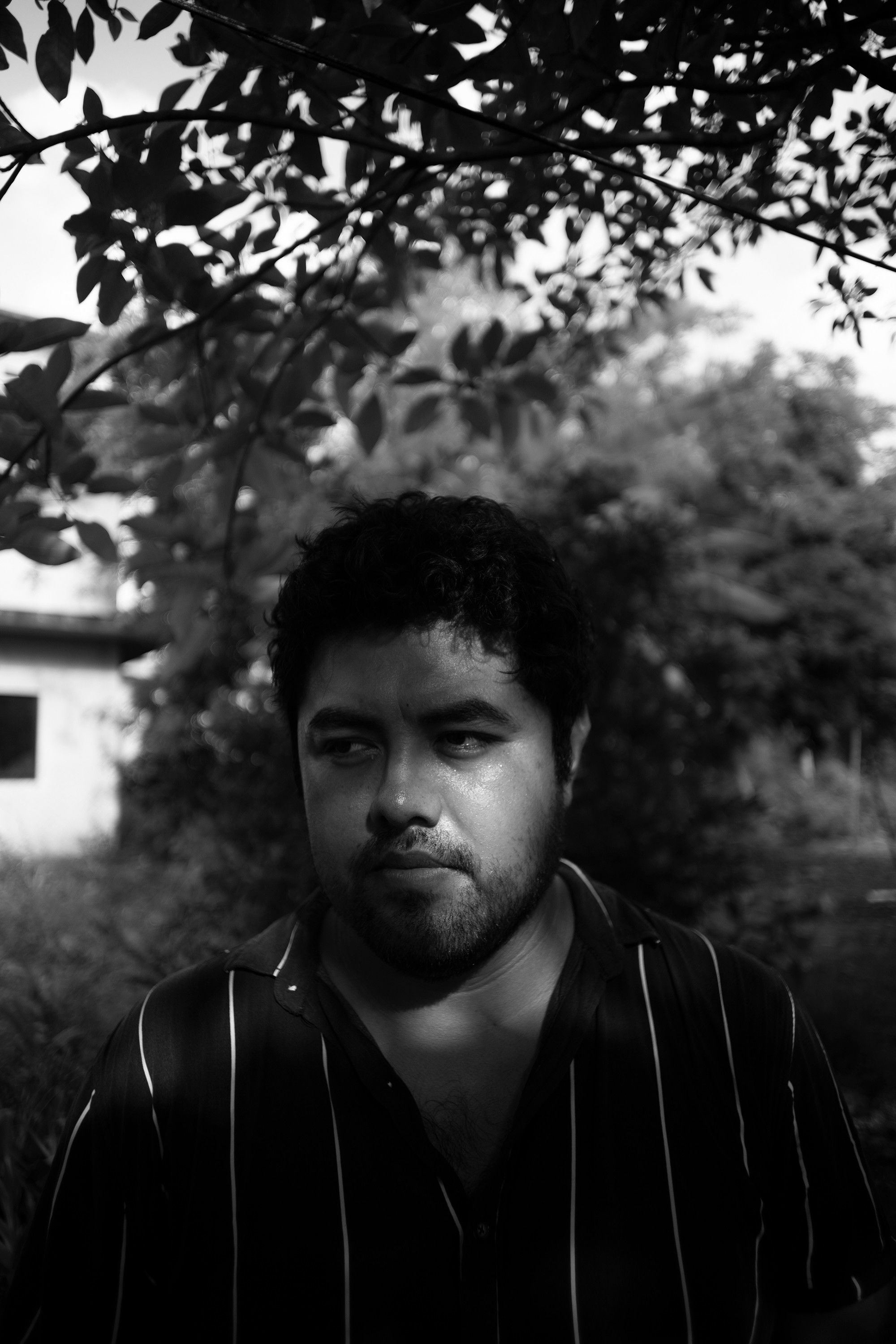 Omar Lázaro García backdrop