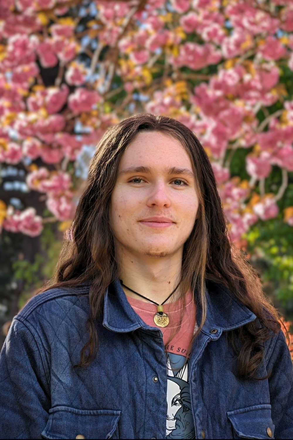 Aubin Spitzer backdrop