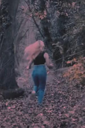 Lily Pearce backdrop