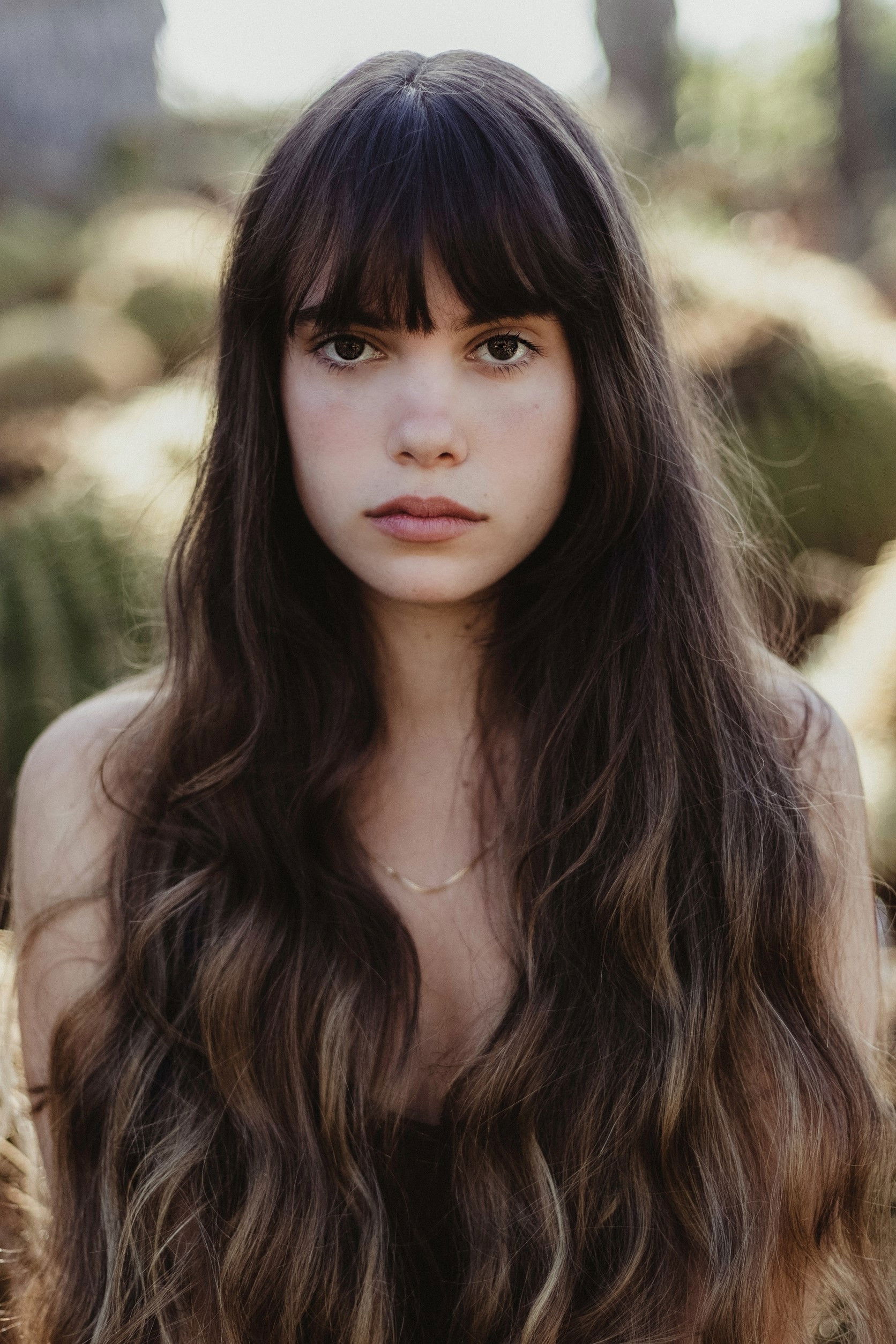 Darya Rosenn backdrop