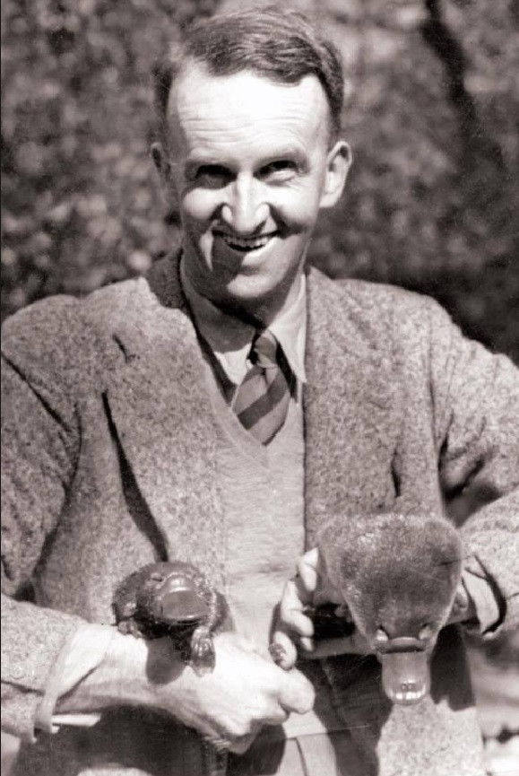 David Fleay backdrop