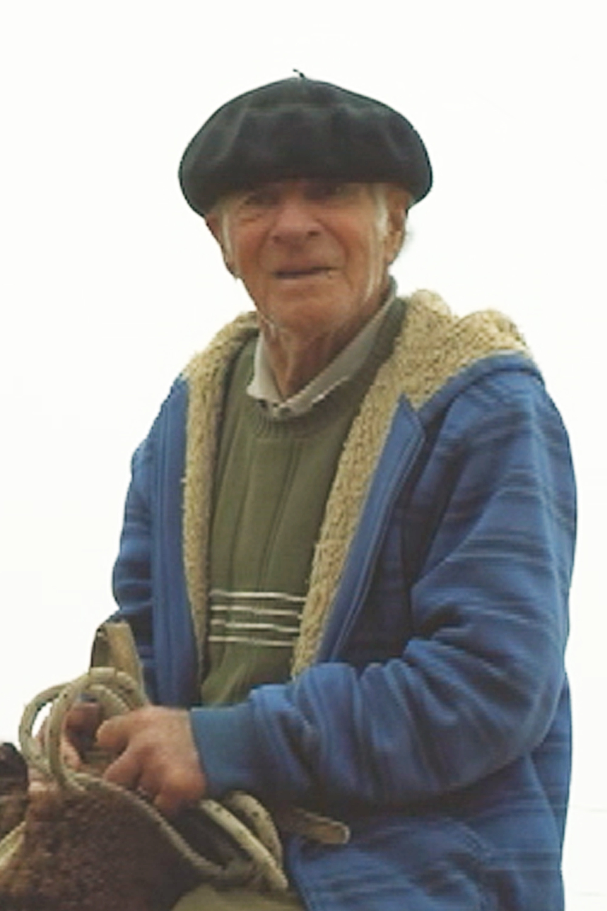 Adao Kardinal backdrop