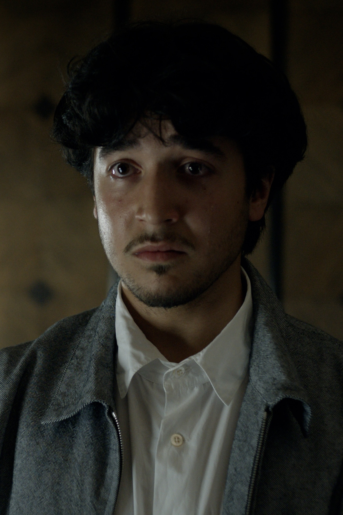 Shahin Shehata backdrop