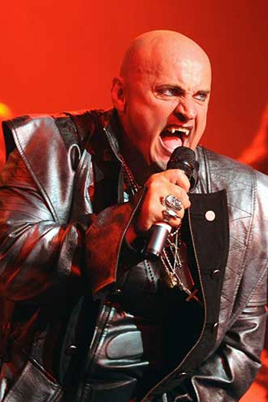 Steve Steinman backdrop