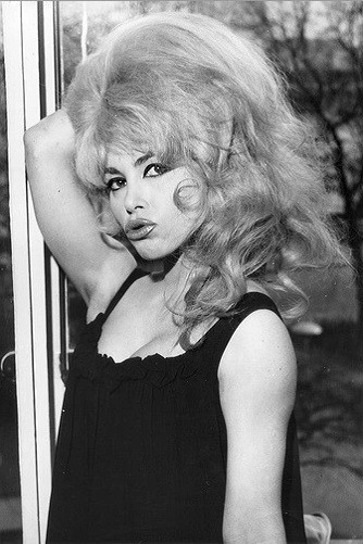 Lady Chinchila backdrop