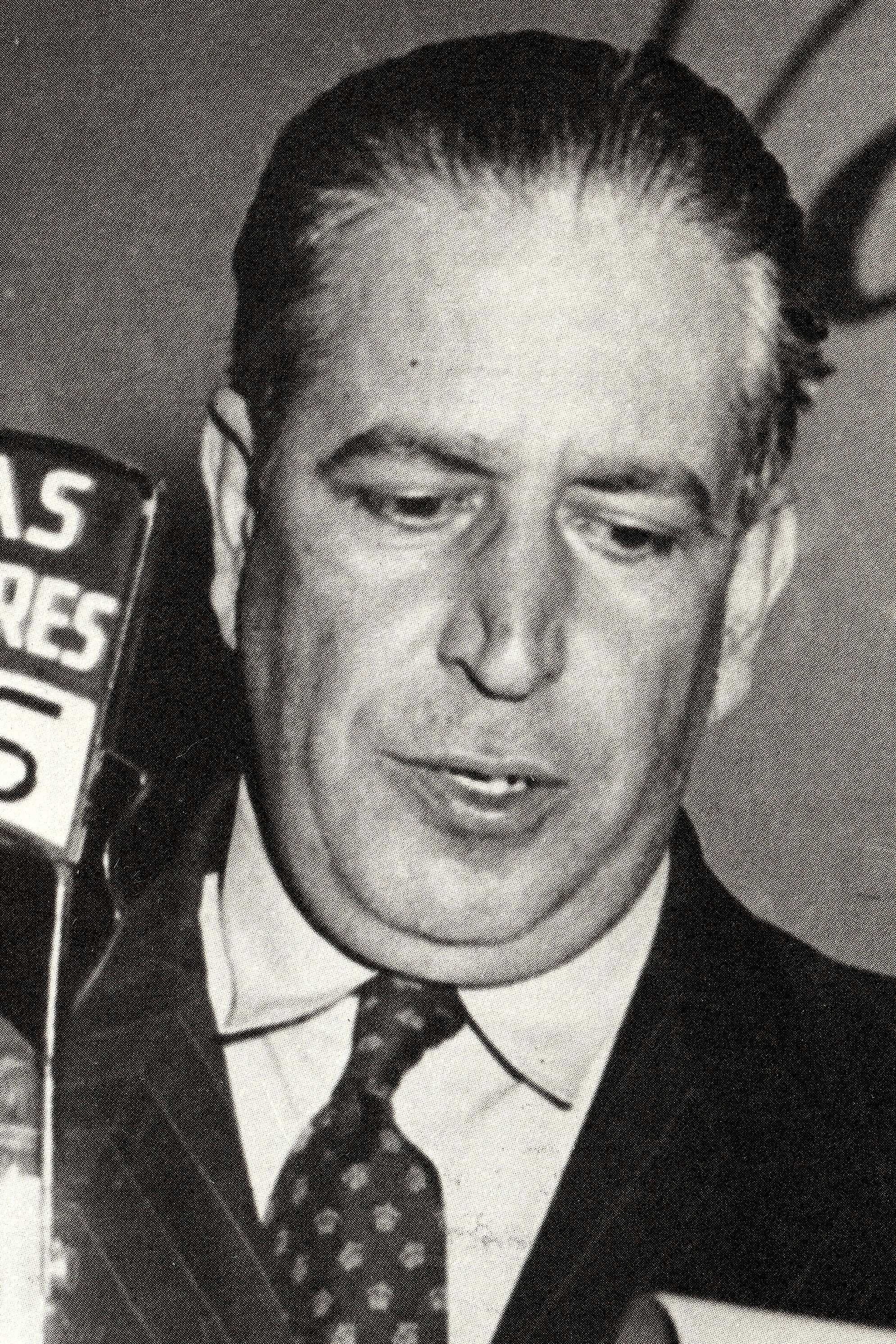 Fini Veracochea backdrop