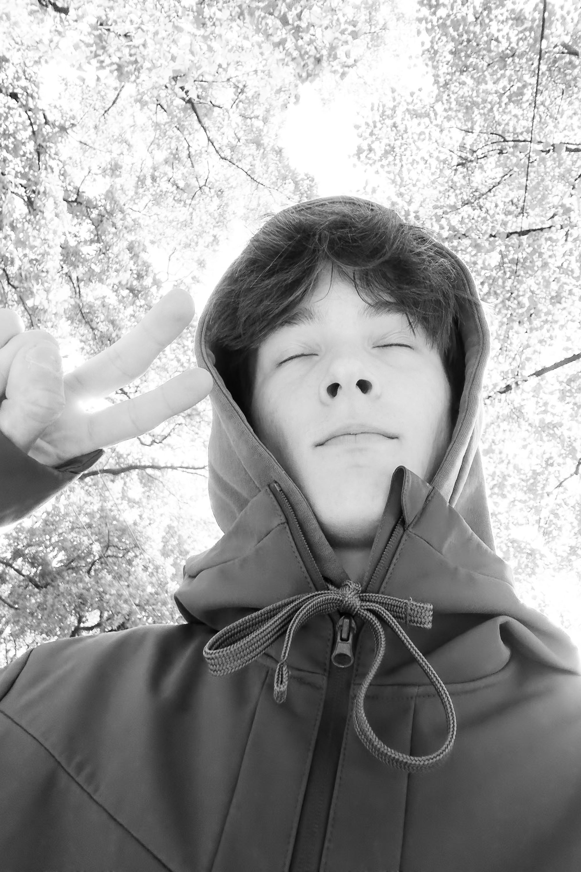 Emils Mikelsons backdrop