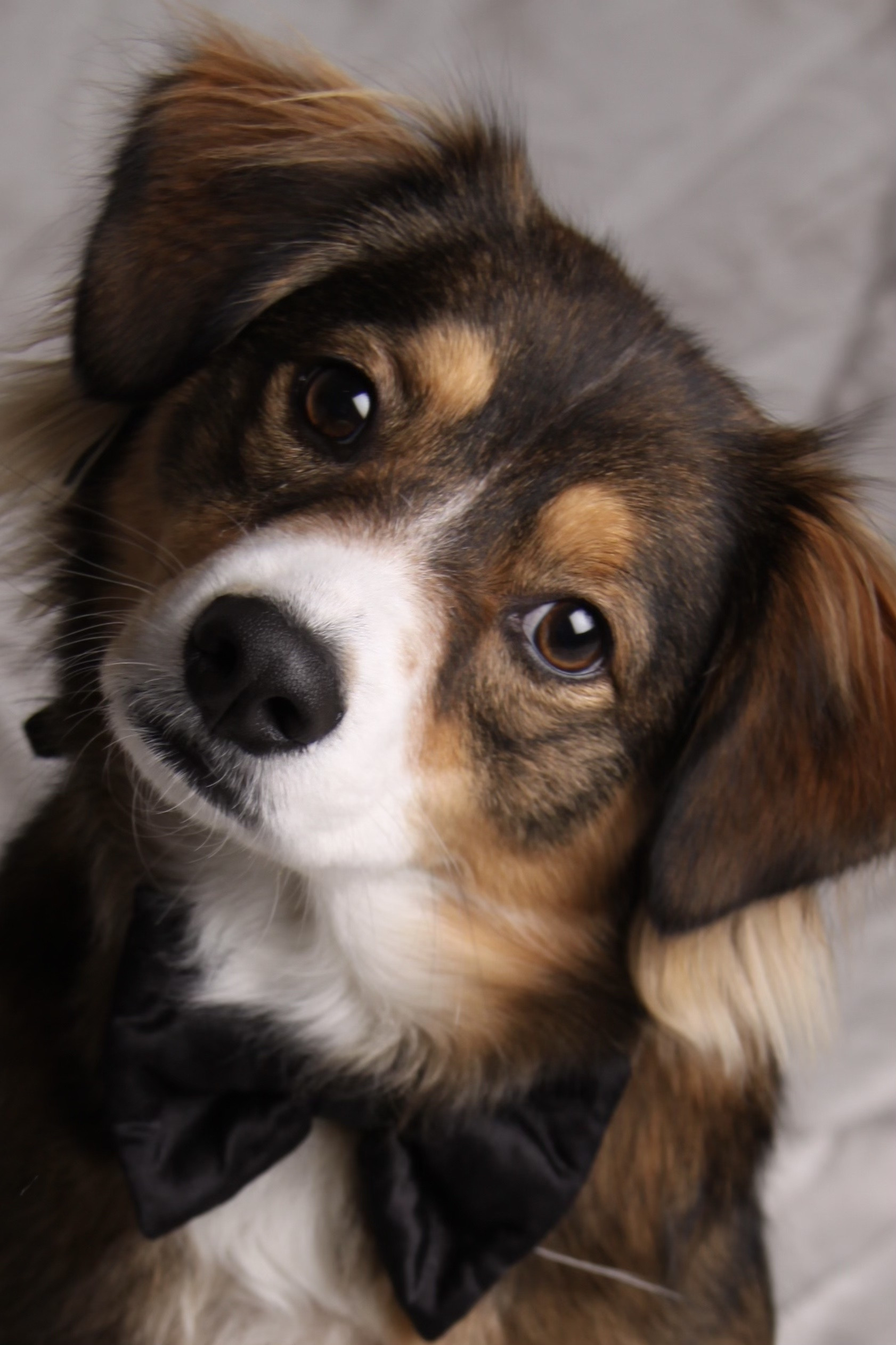 Lucky Hannah backdrop