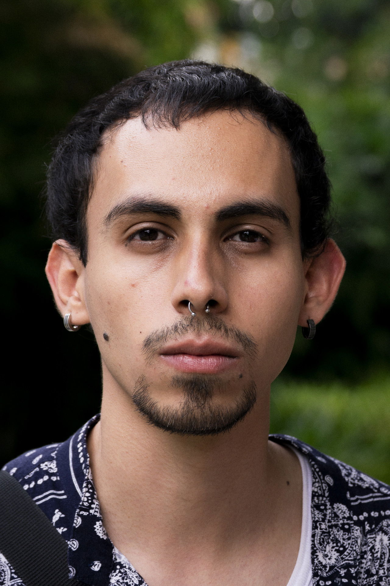 Fernando Alva backdrop