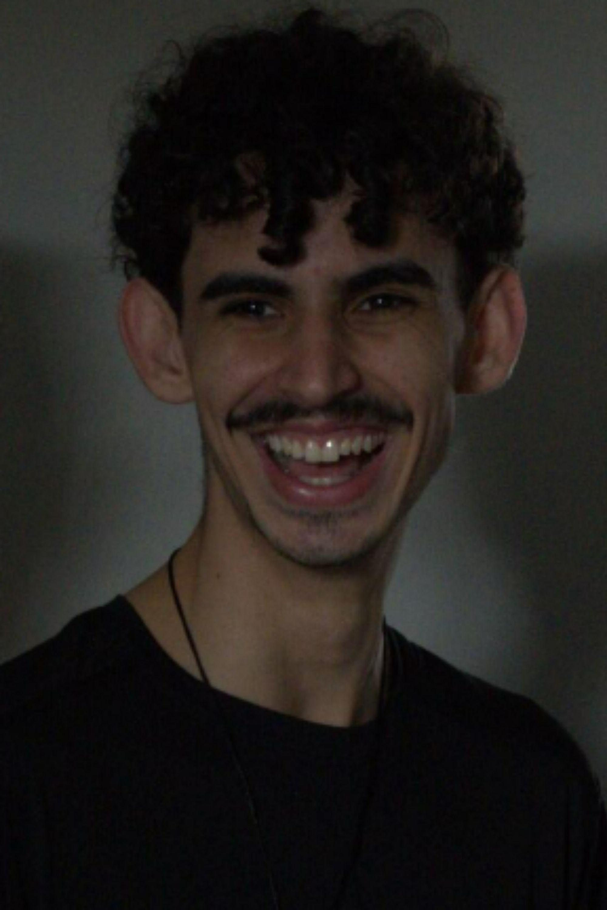 Luiz Gustavo Sedrez backdrop