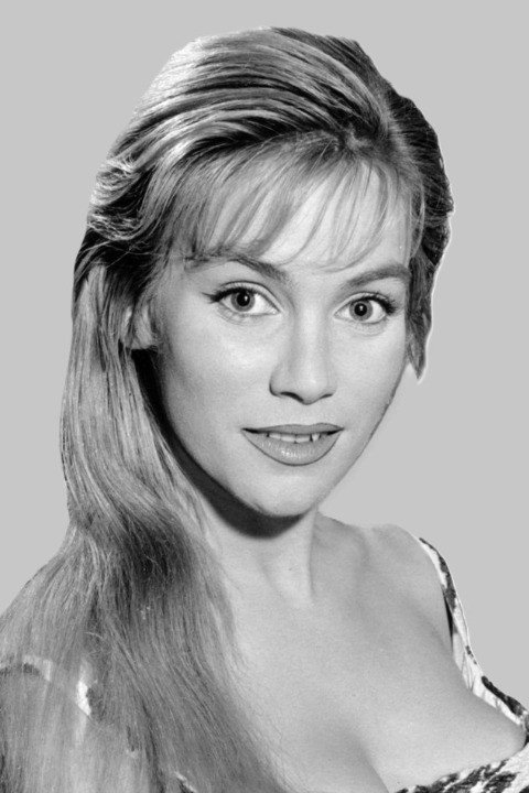 Estella Blain backdrop