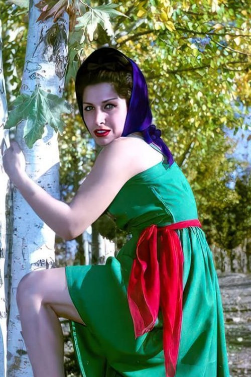 Zhale Heravi backdrop