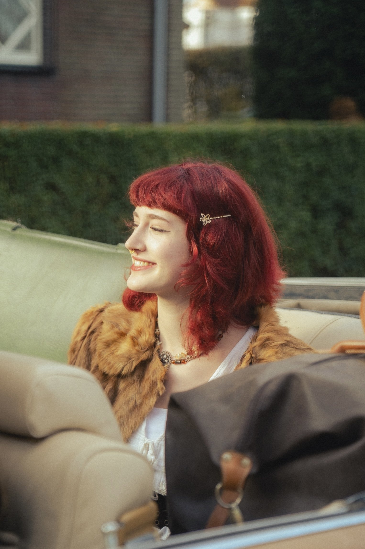 Lotus delabrassine backdrop