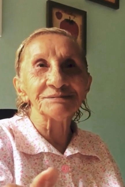 Tereza de Castro Brito backdrop