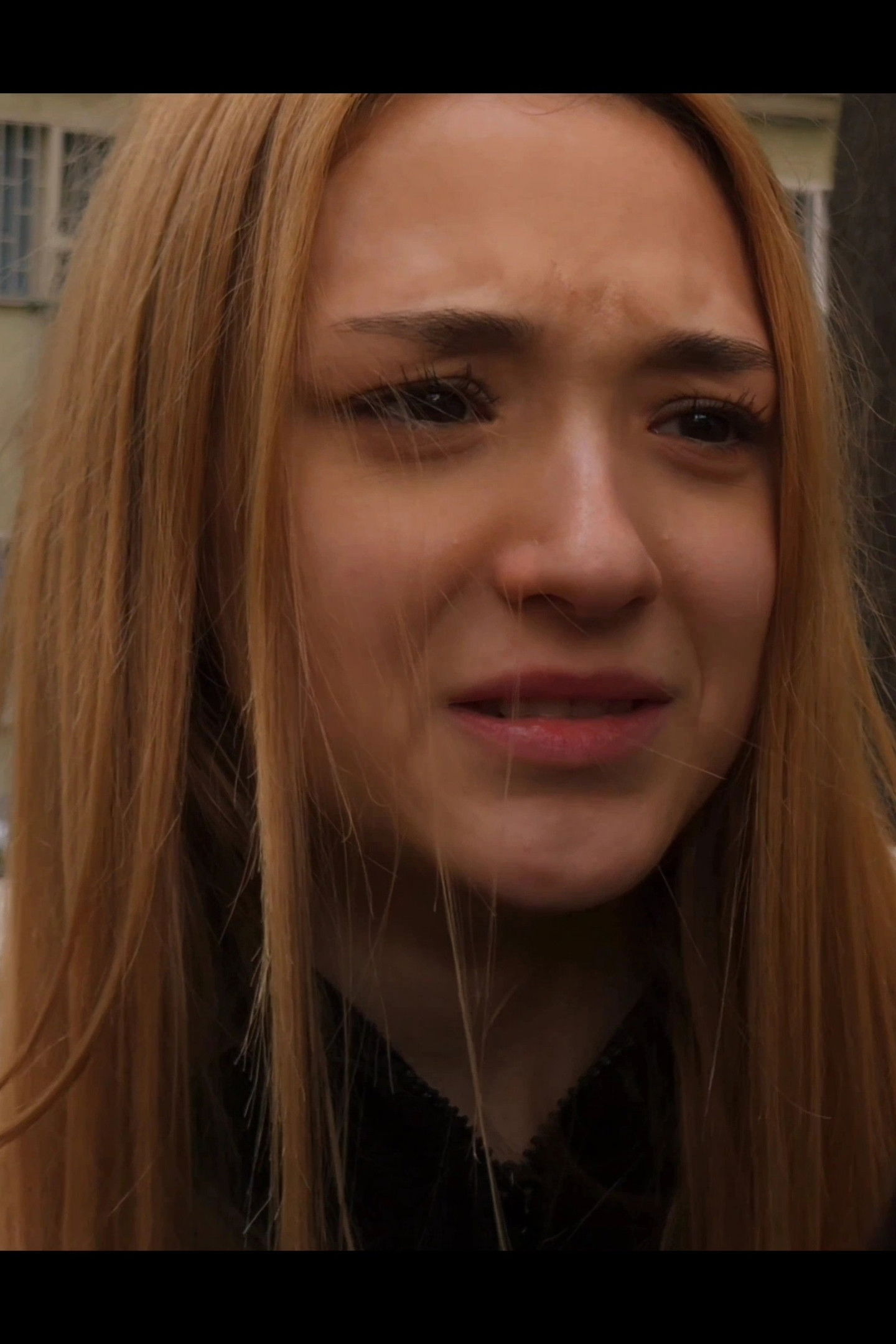 Martina Alaimo backdrop