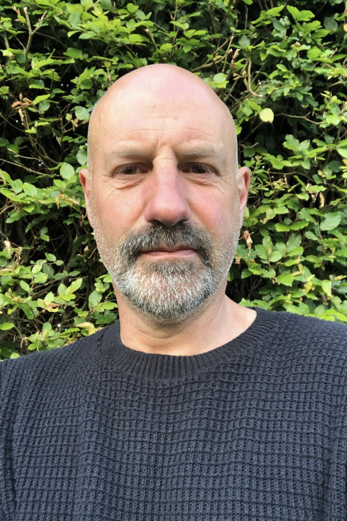 Stephen Palfrey backdrop