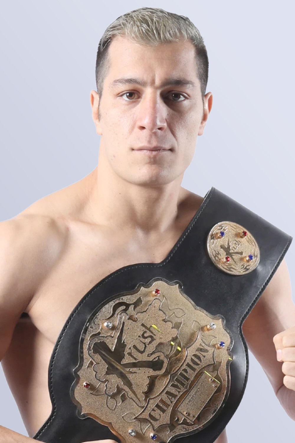 Mahmoud Sattari backdrop