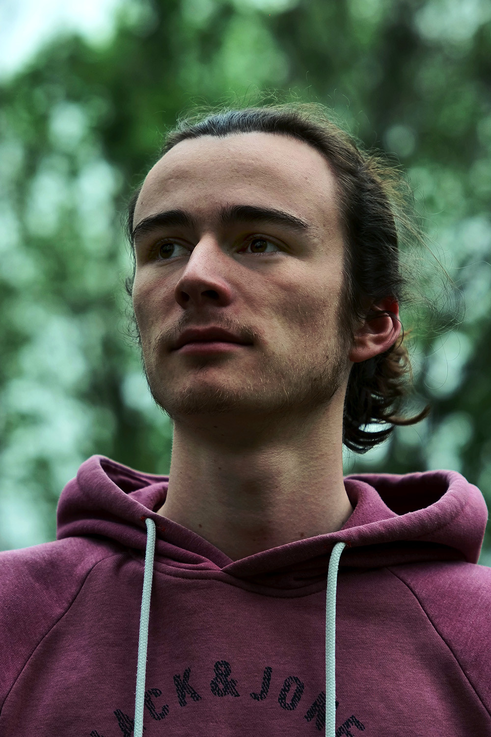 Timon Michou backdrop