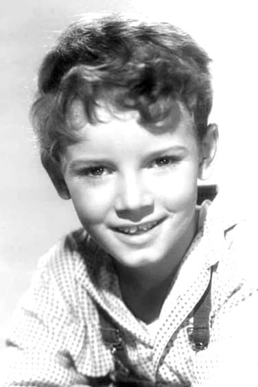 Peter Miles backdrop