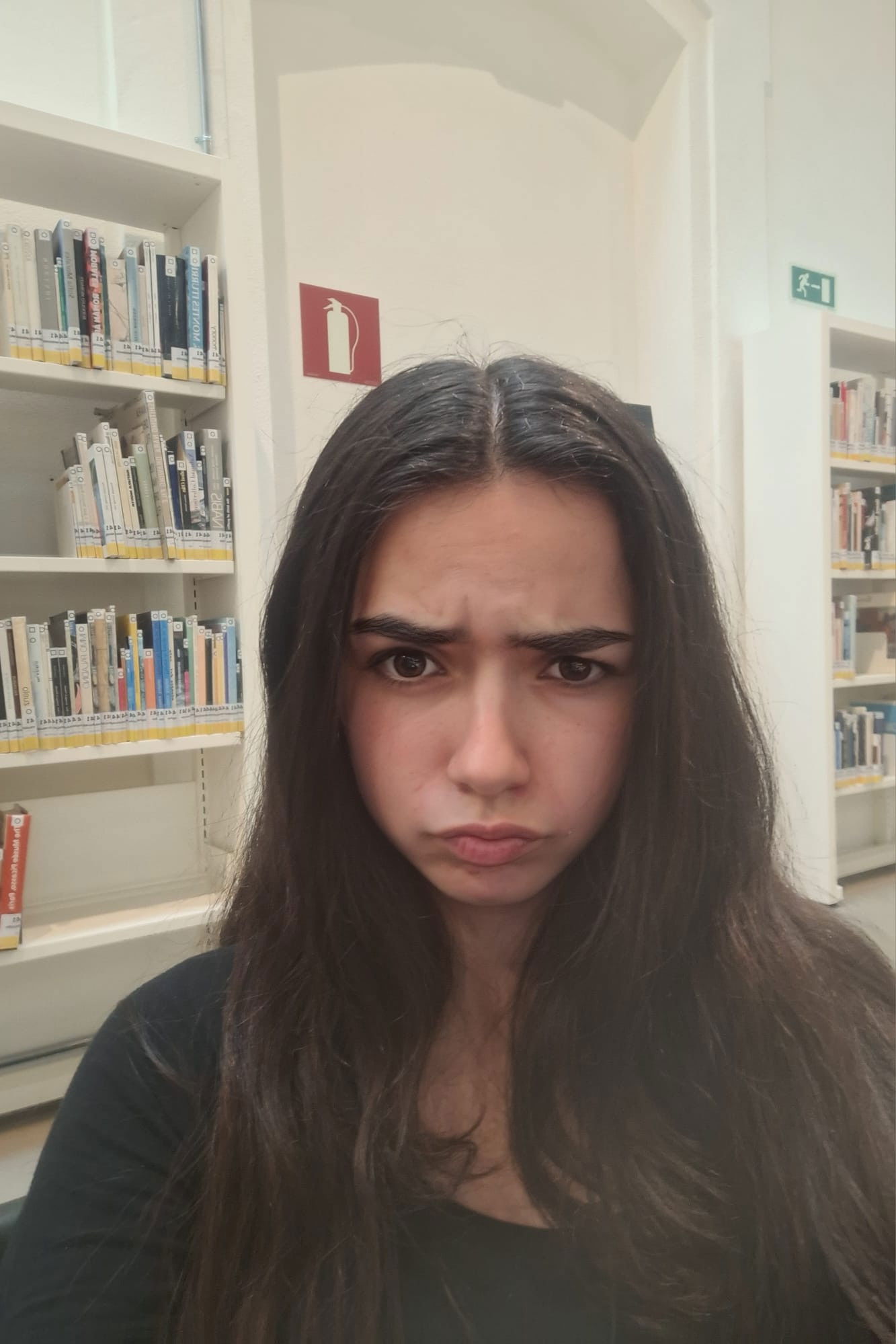 Araitz Ibero backdrop