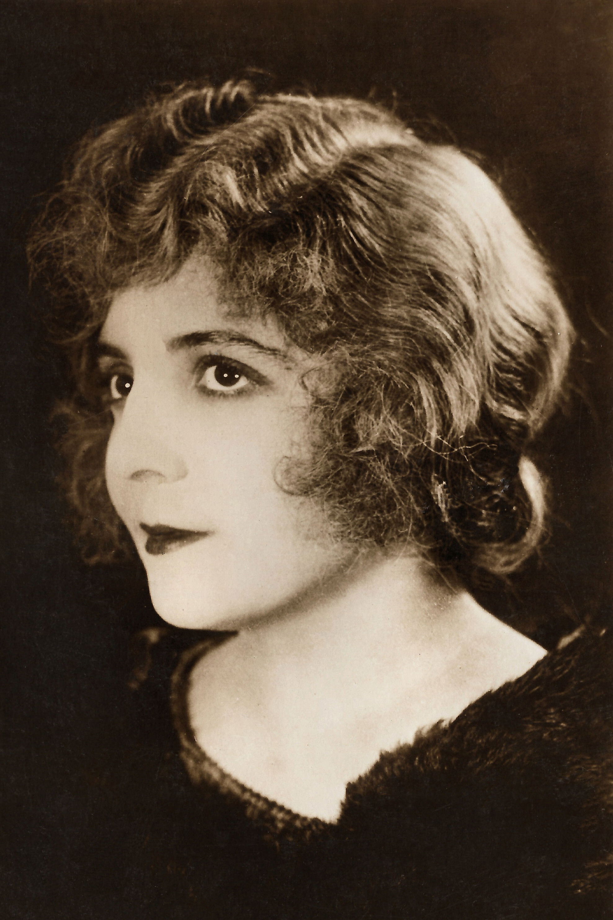 France Dhélia backdrop