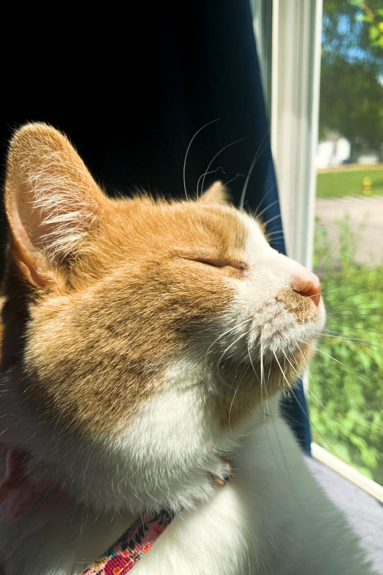 Cheyenne Childers backdrop