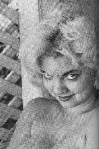 Laine Carlin backdrop