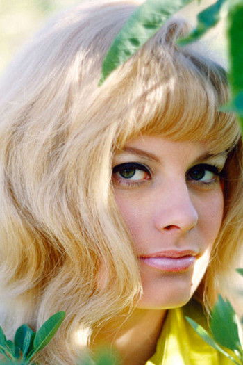 Reagan Wilson backdrop