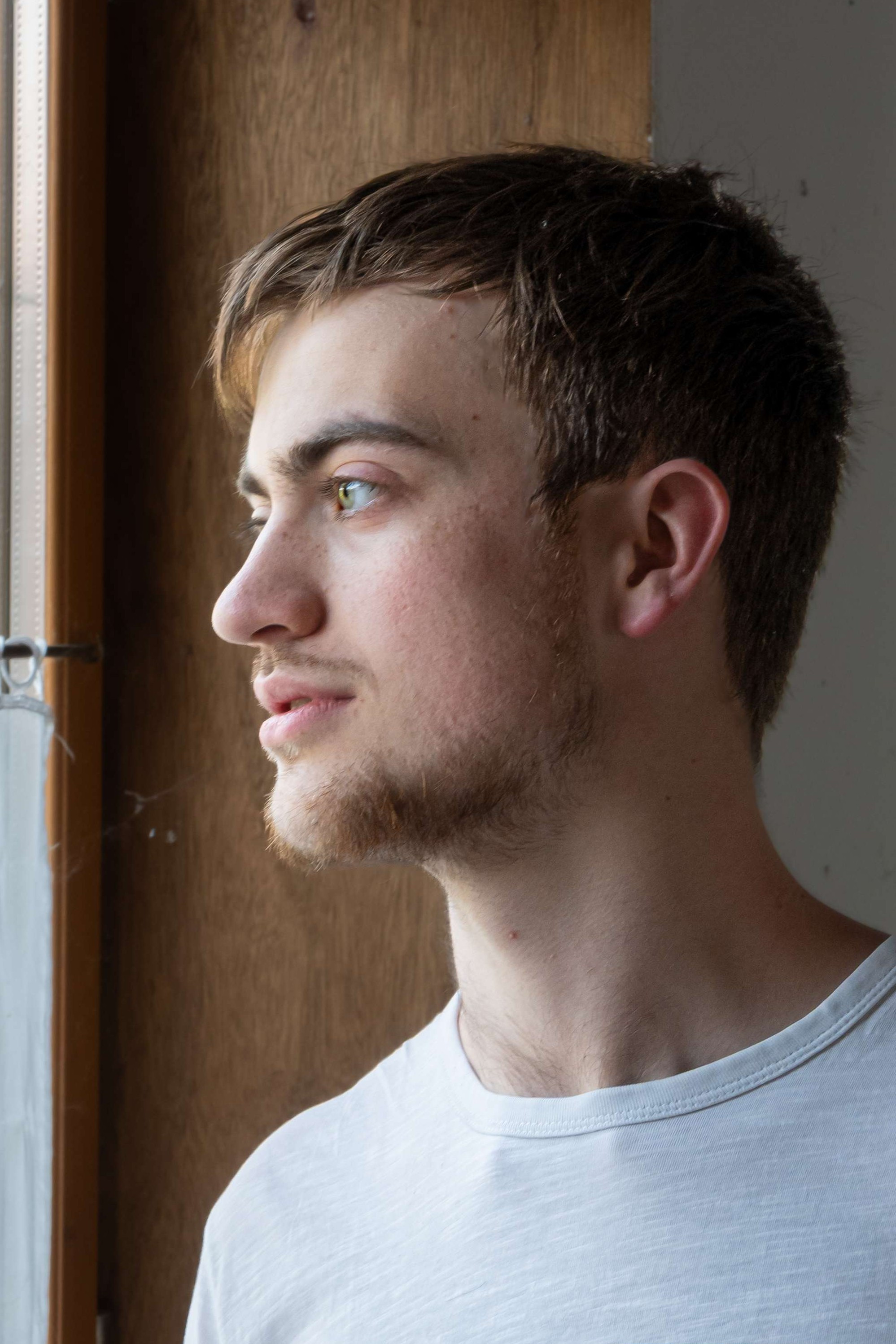 Louis Deprez backdrop