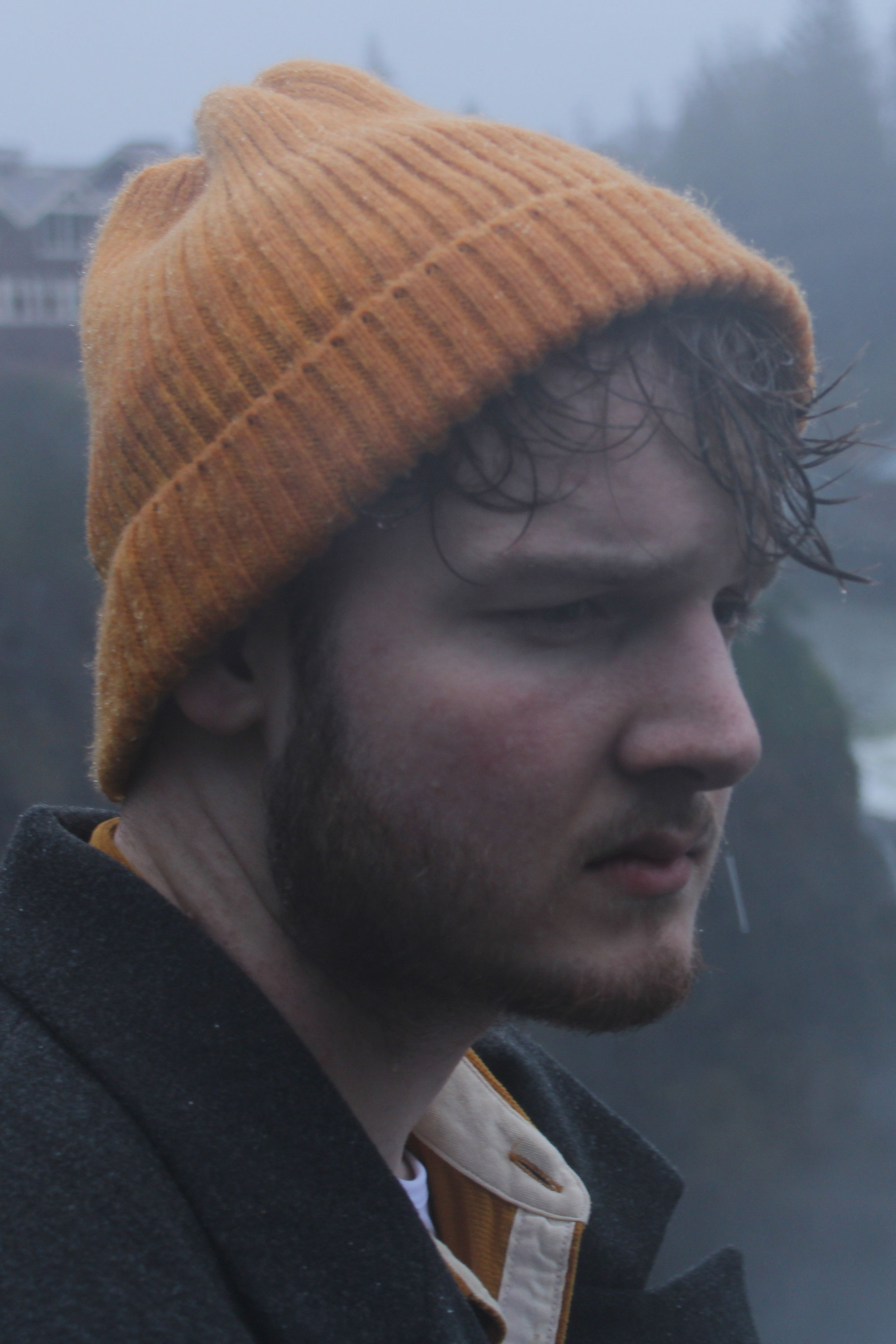 Luuk van der Steen backdrop