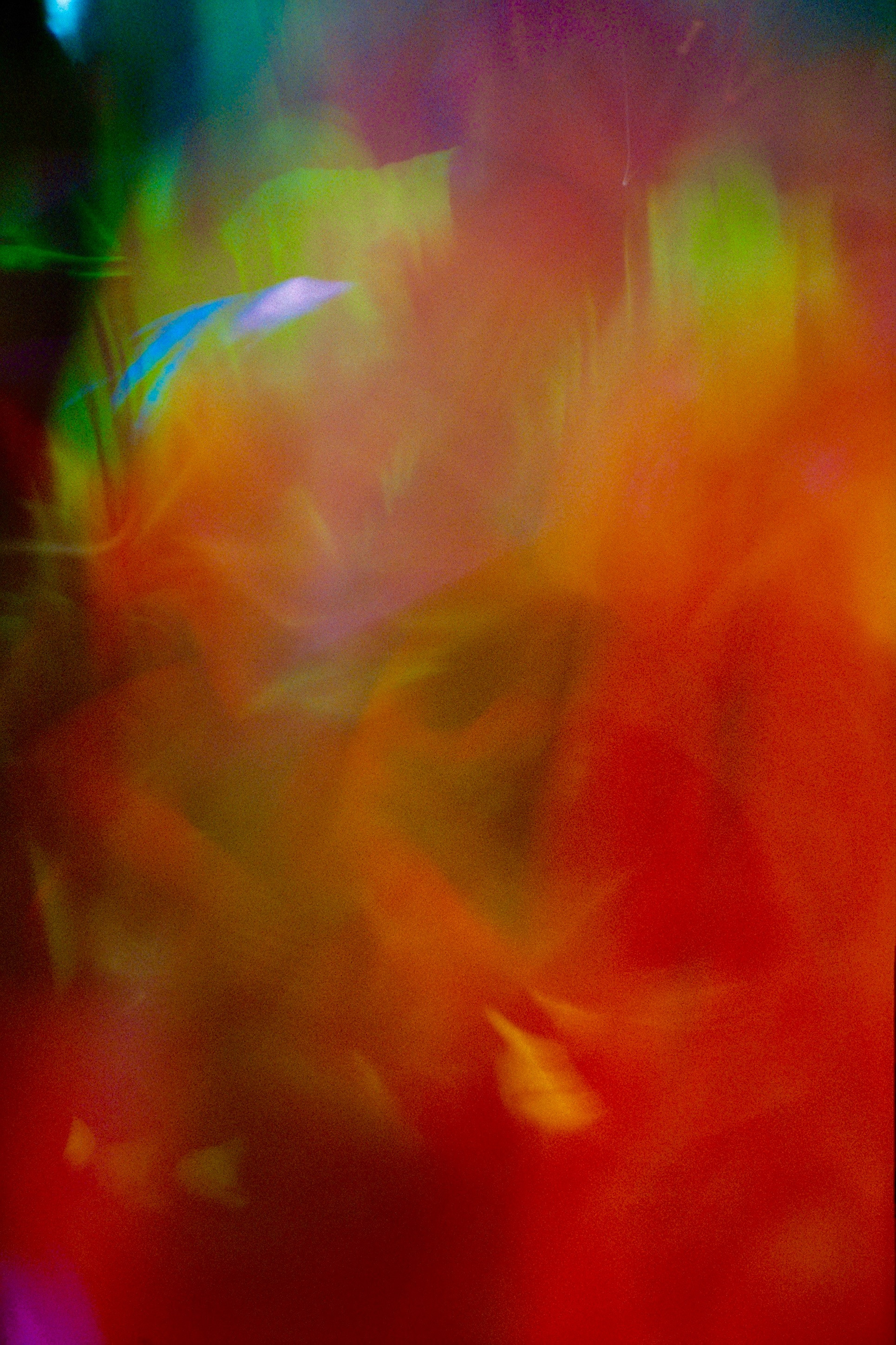 Kilian IRZ Obermayr backdrop