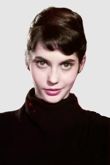 Judith Dornys backdrop